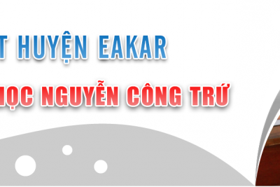 Tập huấn chuyển giao trang thông tin điện tử